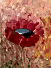 Load image into Gallery viewer, Original Abstract Oil Painting On Canvas Poppy Grace Textured impasto art