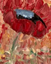 Load image into Gallery viewer, Original Abstract Oil Painting On Canvas Poppy Grace Textured impasto art