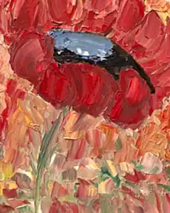 Original Abstract Oil Painting On Canvas Poppy Grace Textured impasto art